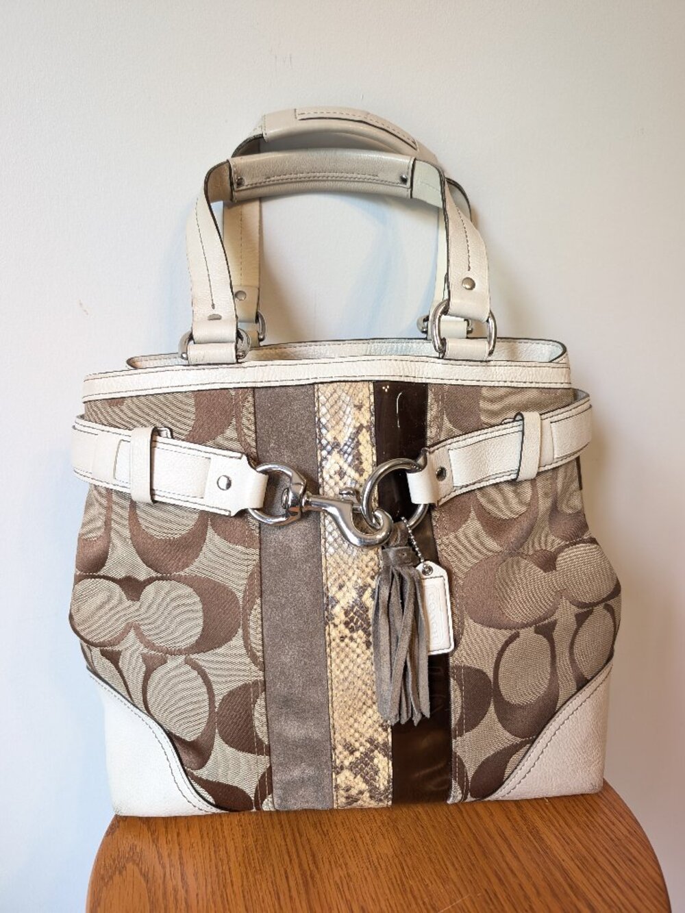 Coach 10264 Hampton Python Stripe Book Tote